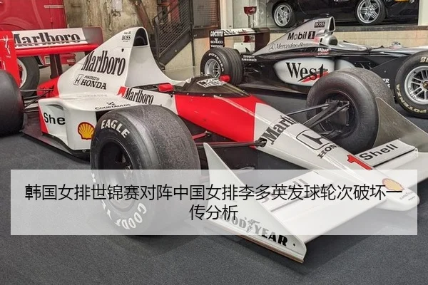 han-guo-nv-pai-shi-jin-sai-dui-zhen-zhong-guo-nv-pai-li-duo-ying-fa-qiu-lun-ci-po-huai-yi-chuan-fen-xi-3-434.jpg