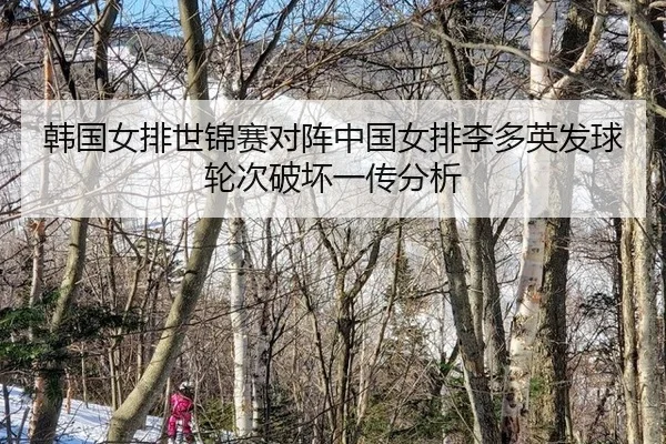韩国女排世锦赛对阵中国女排李多英发球轮次破坏一传分析